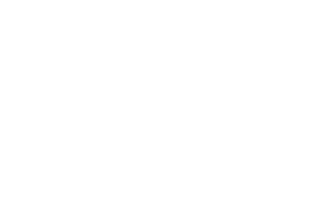 Cuerpo y Presencia